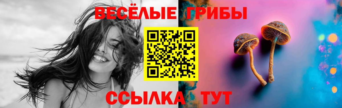 Псилоцибиновые грибы GOLDEN TEACHER Ростов-на-Дону